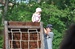 DSC_0909.jpg